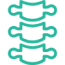 Spine icon